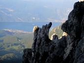 15 Guglia nel ramo di Lecco